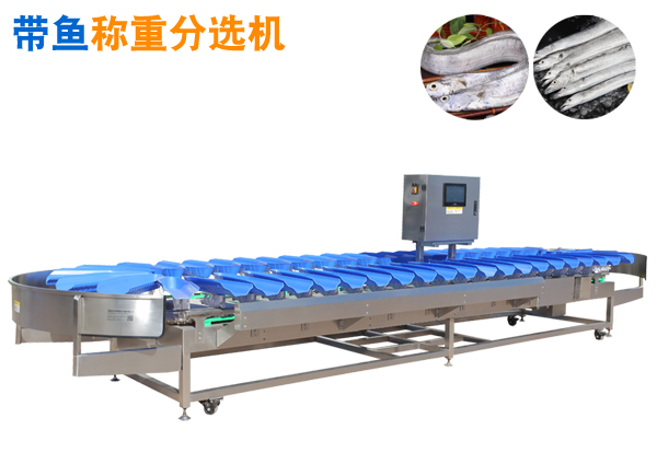 帶魚挑檔機,帶魚分選機,帶魚分級機