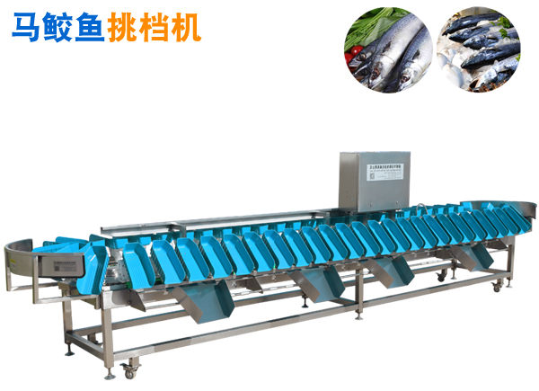 馬鮫魚挑檔機(jī),馬鮫魚分選機(jī),馬鮫魚挑擋機(jī)