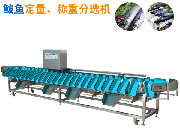 鲅魚挑檔機(jī),鲅魚分選機(jī),鲅魚挑擋機(jī)