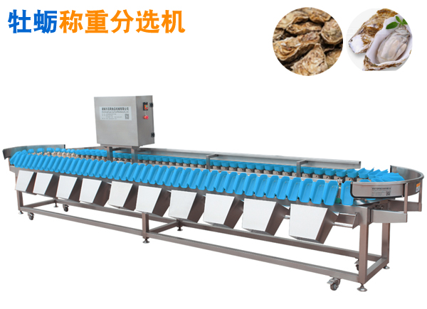 牡蠣重量分選機(jī) 自動(dòng)稱重機(jī)