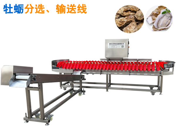 5+1牡蠣分選、輸送流水線