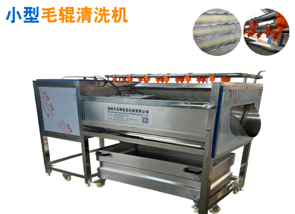 小型毛輥噴淋清洗機