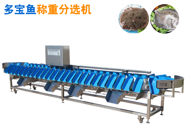 料盒式重量分選機(jī) 多寶魚稱重分揀機(jī)