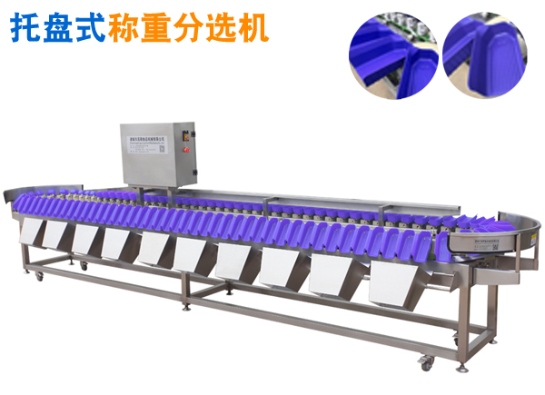 重量分選機(jī) 托盤式稱重分揀機(jī)