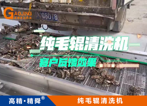 牡蠣純毛輥清洗機 平行毛輥清洗機