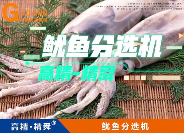 魷魚稱重分選機 魷魚重量分揀機 魷魚挑檔機
