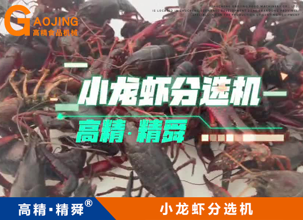 小龍蝦分揀機 小龍蝦分級機 小龍蝦分選機