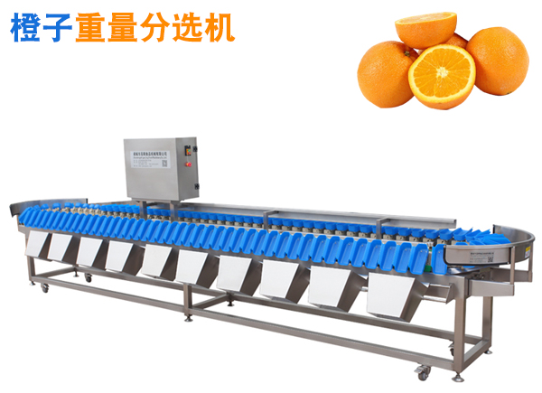 橙子重量分選機(jī)臍橙稱重分選機(jī)橙子分級(jí)機(jī)水果分選機(jī)選果機(jī)
