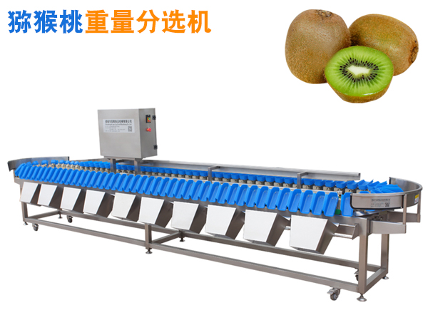 獼猴桃分選機(jī)、獼猴桃稱重分選機(jī)、獼猴桃重量分選機(jī)、徐聞獼猴桃分揀設(shè)備