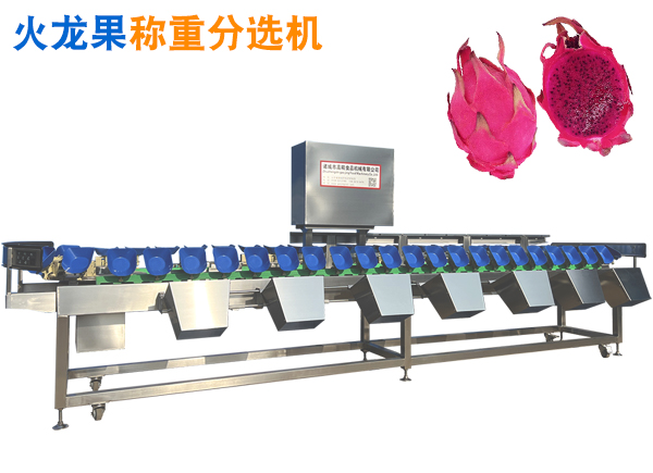 火龍果重量分選機(jī) 水果自動(dòng)選果機(jī) 托盤式水果分選機(jī)