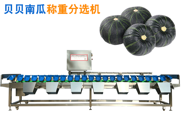 貝貝南瓜方形托盤式稱重分選機