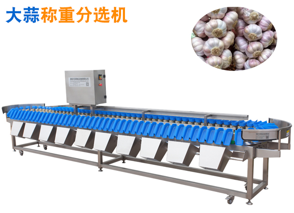 大蒜稱重分選機甜蒜重量分選機帶皮臘八蒜分級機